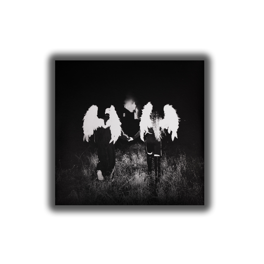 «Coming Home» 12" LP Vinyl