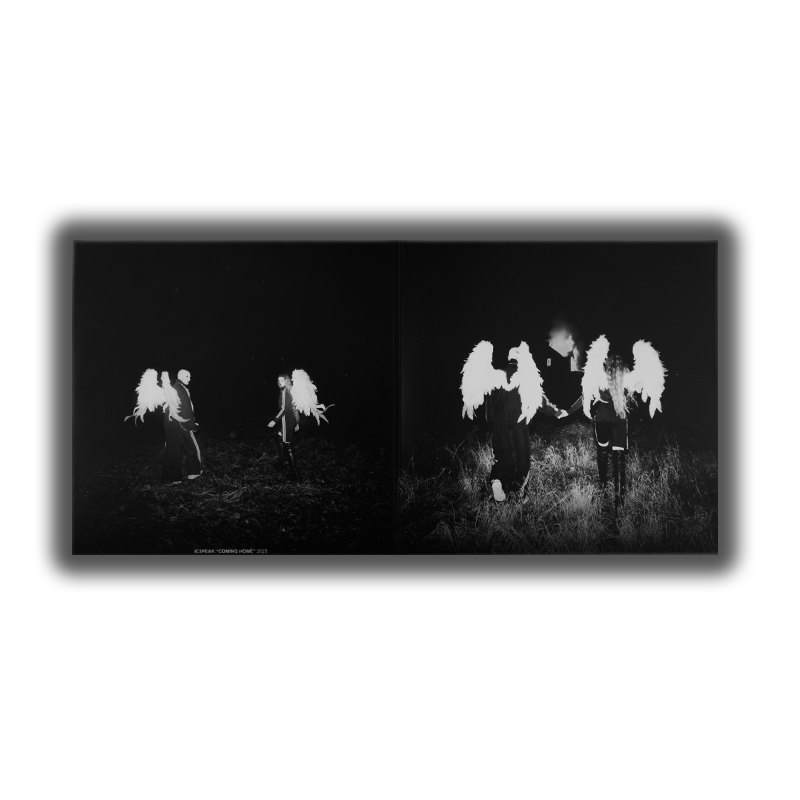 «Coming Home» 12" LP Vinyl