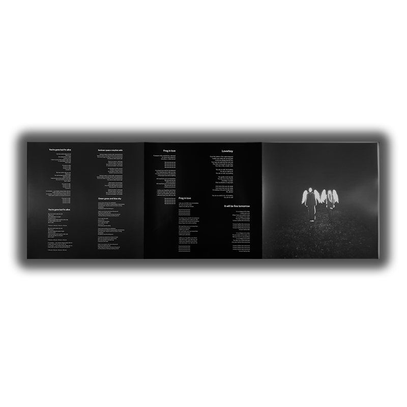 «Coming Home» 12" LP Vinyl